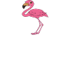 Funny flamingo graphics