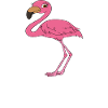 Funny flamingo graphics