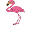 Drôles de graphismes flamants roses