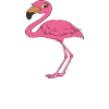 Funny flamingo graphics