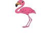 Funny flamingo graphics