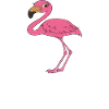 Funny flamingo graphics