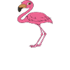 Funny flamingo graphics