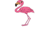 Funny flamingo graphics