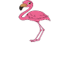 Funny flamingo graphics