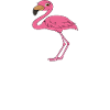 Funny flamingo graphics