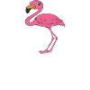 Funny flamingo graphics