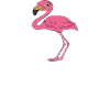 Funny flamingo graphics