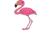 Funny flamingo graphics