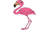 Funny flamingo graphics
