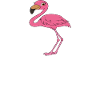 Funny flamingo graphics