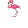 Funny flamingo graphics
