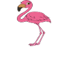 Funny flamingo graphics