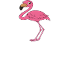 Funny flamingo graphics