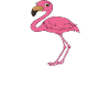 Funny flamingo graphics
