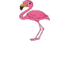 Funny flamingo graphics