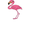 Funny flamingo graphics
