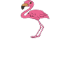Funny flamingo graphics