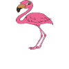 Funny flamingo graphics