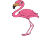 Funny flamingo graphics