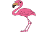 Funny flamingo graphics
