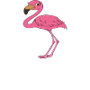 Funny flamingo graphics