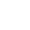 Pelican Pelicans Birds Waterfowl