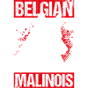 Belgian Malinois Hunde