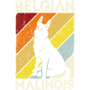 Belgian Malinois Hunde