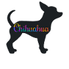 Chihuahua Dog Mistress Dog Lover