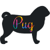 Mops Mops Herrchen Hund Hundehalter