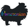 Chien Pomeran