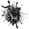GS Snout SW