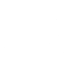 Transverse Flute - Musician