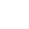 Cool move Rennrad