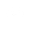 Cool rides road bike