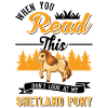 Shetland Pony Gift Shetty