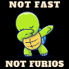 Not Fast Not Furios Turtle