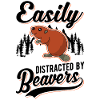 Easily distracted by Beavers Beaver