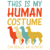 Costume rétro en alpaga