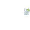 Save Water Drink Gin