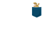Gecko Chest Pocket