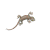 Chuchoteur de gecko