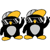 2 friends cool penguins