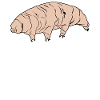 Tardigrade Schlafshirt Wasserbär