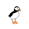 Puffin Puffin Disant Macareux