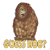 Hibou Devinez Hoo