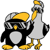Möwe Pinguin 2 Freunde