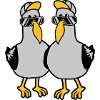 2 Amis de l’équipe Seagulls