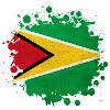 Guyana flag blob